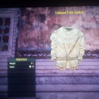 Tattered Field Jacket