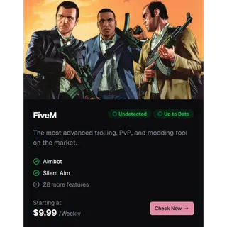 FiveM Cheats