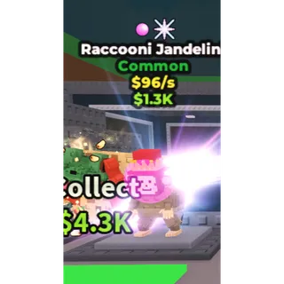 RACCOONI JANDELINI [2 trait]