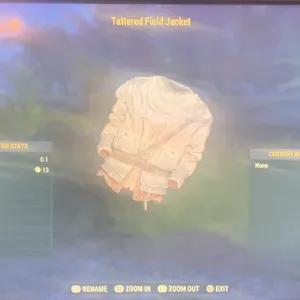 tattered field jacket