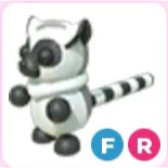 Ring Tailed Lemur