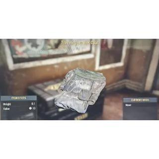 Traveling Leather Coat TLC