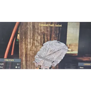 Tattered Field Jacket TFJ