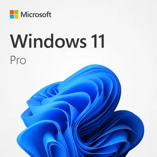 Windows 11 Pro OEM Key