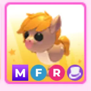 show pony MFR