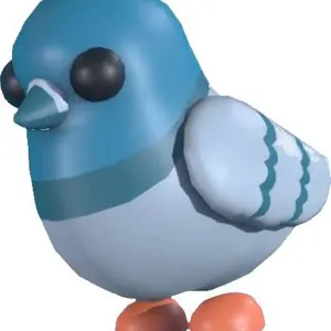 rock pigeon MFR