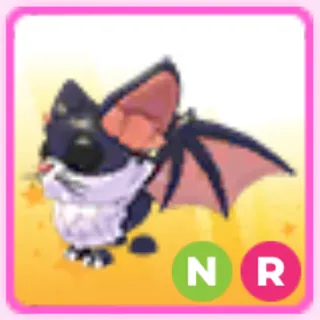 NR kitty bat