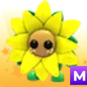 sunflower friend M x2