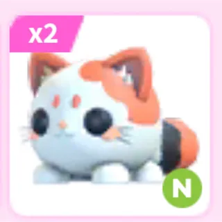 2x N mochi meow