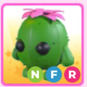 NFR cactus friend