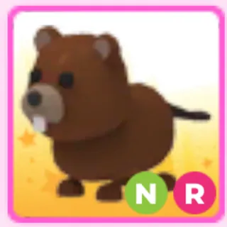 NR beaver
