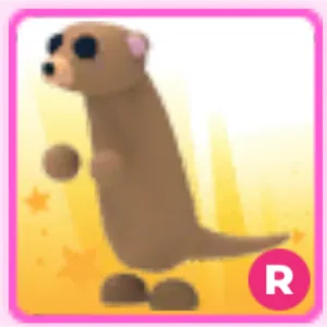 R meerkat