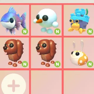 6x neon pets