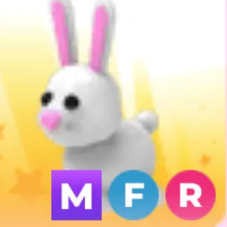 bunny MFR