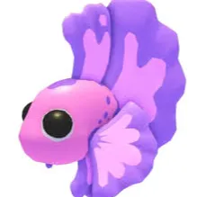 pink betta fish x4