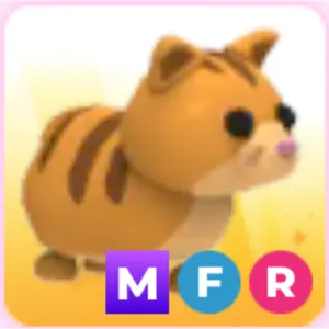ginger cat MFR