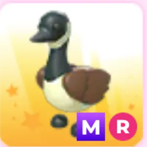 canadian goose MR