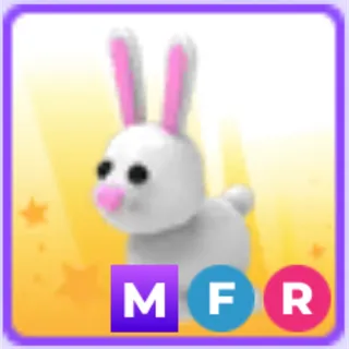 bunny mfr