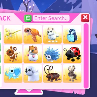 12x random pet