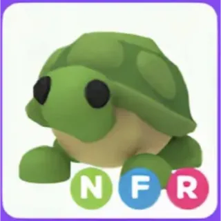 Turtle nfr