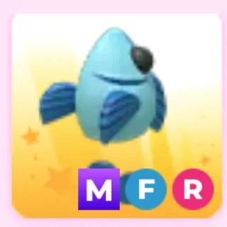 feesh MFR