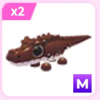 2x M cocoadile