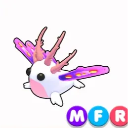 sea slug mfr