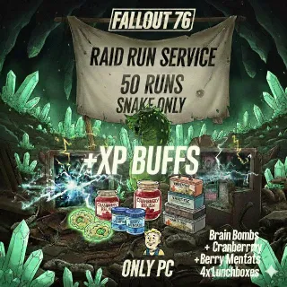 FALLOUT 76 RUN SERVICE