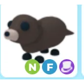Neon Fly Otter