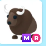 Mega Ride Buffalo