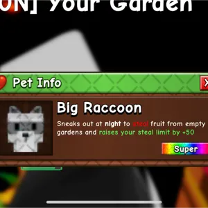 BIG RACCOON GAG 2