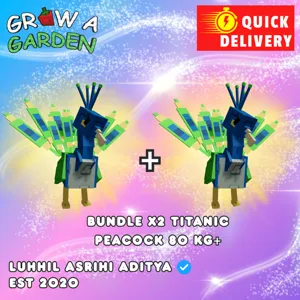 X2 TITANIC PEACOCK 80KG+