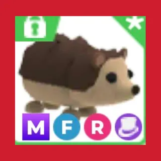 adopt me mfr hedgehog