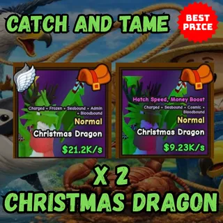 X 2 CHRISTMAS DRAGON