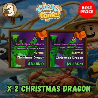 X 2 CHRISTMAS DRAGON