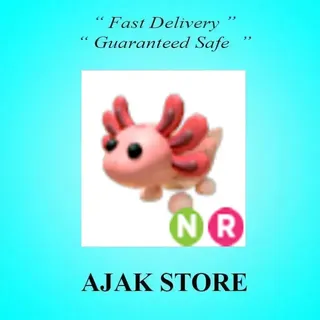 NR Axolotl