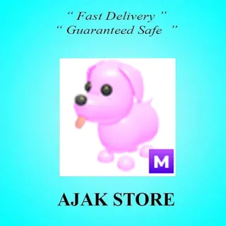 M Pink Dog