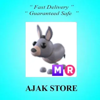 MR Donkey