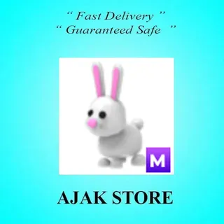 M Bunny
