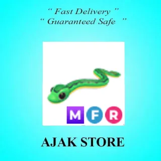 MFR Garden Snake