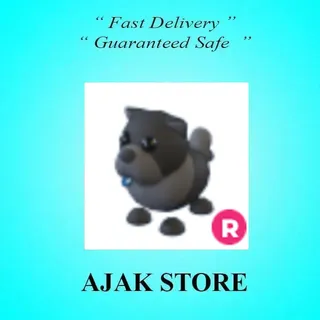 R Black Chow Chow