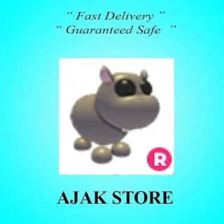R Hippo