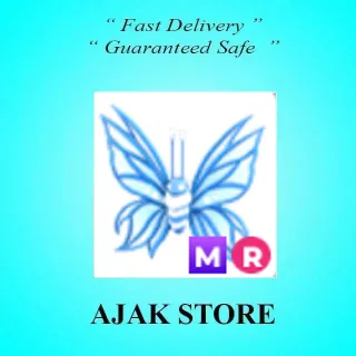 MR Birthday Butterfly 2024