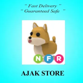 NFR Shiba Inu