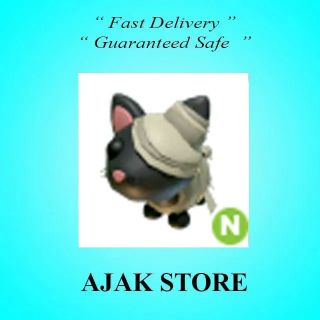 Black Mummy Cat N