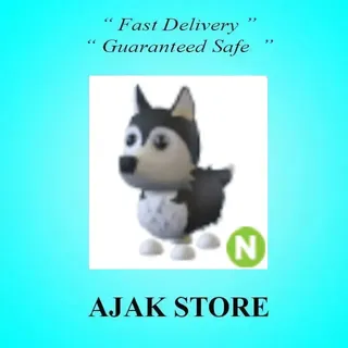 N Husky