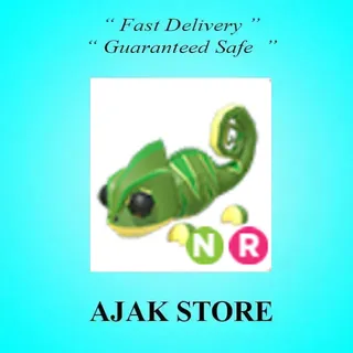NR Chameleon