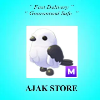 M Japanese Snow Fairy