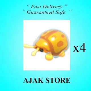 x4 Golden Tortoise Beetle