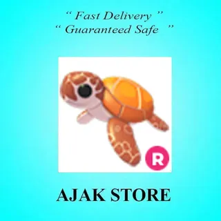 R Sea Turtle